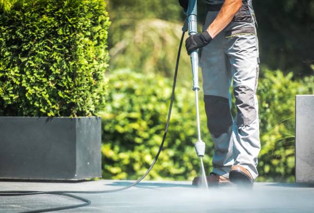 Best Soft Washing  in Deridder, LA